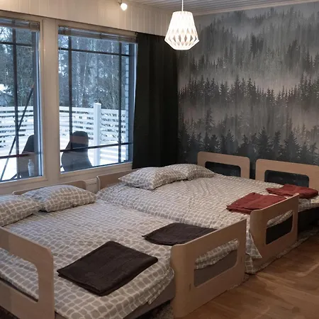 Willa Metso At Rovaniemi