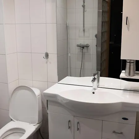 Metso At Villa Rovaniemi